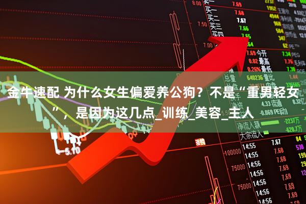 金牛速配 为什么女生偏爱养公狗？不是“重男轻女”，是因为这几点_训练_美容_主人