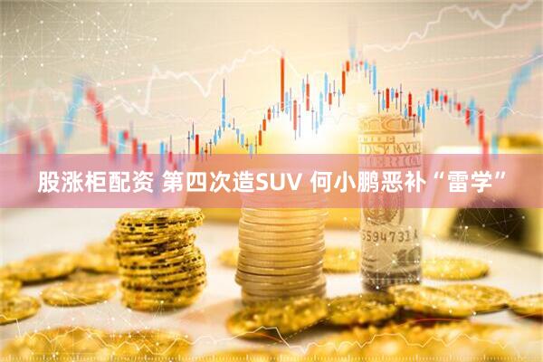 股涨柜配资 第四次造SUV 何小鹏恶补“雷学”