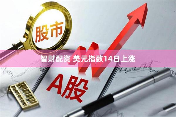 智财配资 美元指数14日上涨