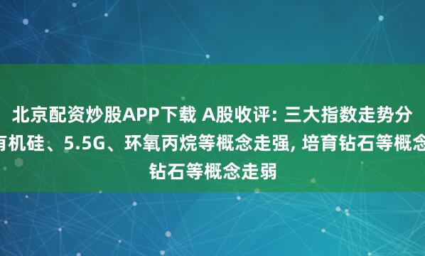 北京配资炒股APP下载 A股收评: 三大指数走势分化, 有机硅、5.5G、环氧丙烷等概念走强, 培育钻石等概念走弱